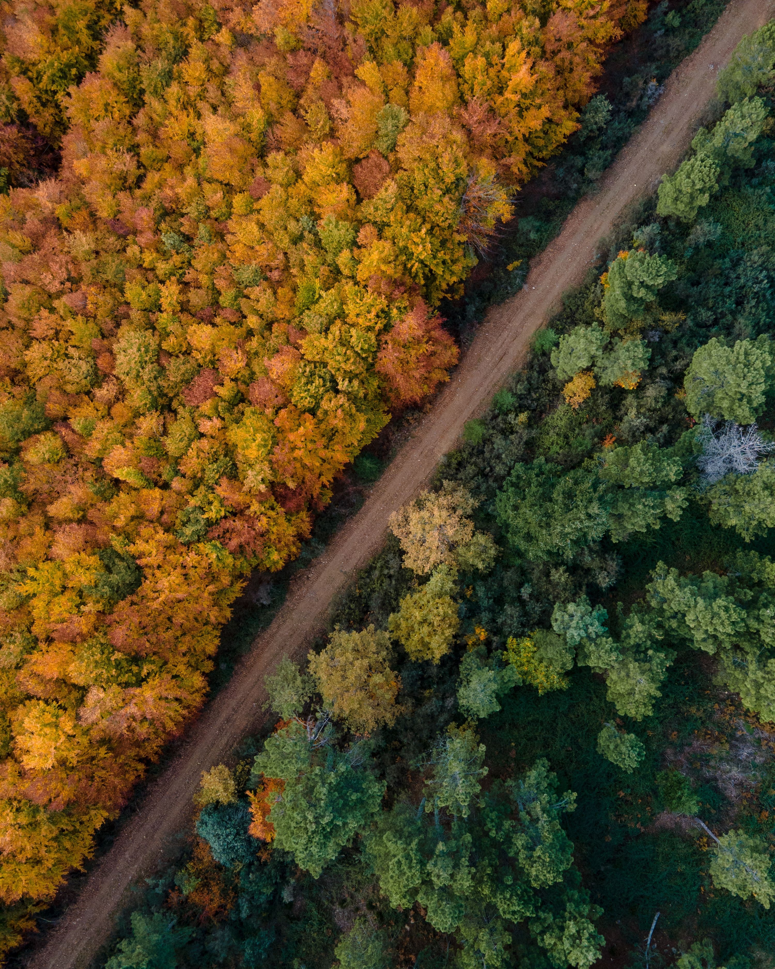 Seasonal Allergies: Spring, Summer, Fall & Winter Guide