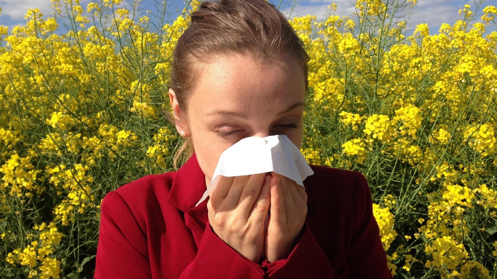 A person in a red jacket holding a tissue to their nose in front of a field of bright yellow flowers.