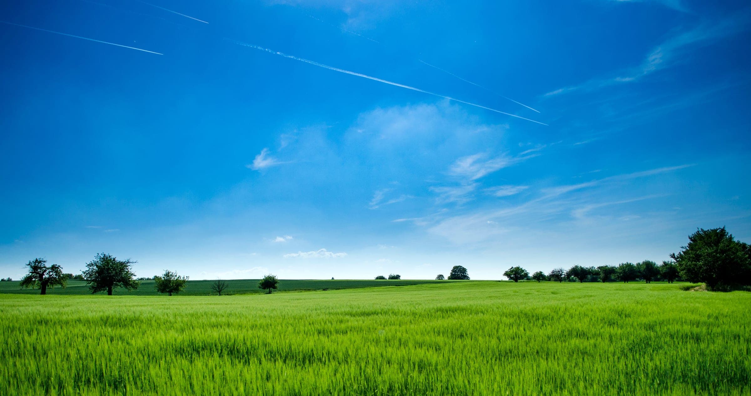 Open green field under a clear blue sky