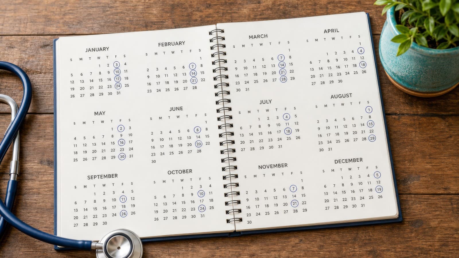 An open spiral calendar on a wooden desk with appointment days circled every week through March and every other week after that, beside a stethoscope and a potted plant.
