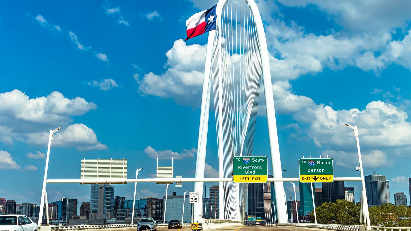 The Margaret Hunt Hill Bridge in Dallas, Texas, rising above the trees and grassy banks of the Trinity River.